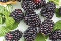 Fresh blackberries on blackberry leaf Royalty Free Stock Photo