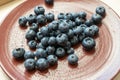 Fresh blackberries or blueberries in a brown clay ceramic plate photographed from above.