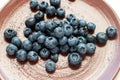 Fresh blackberries or blueberries in a brown clay ceramic plate photographed from above.