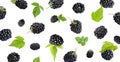 Fresh blackberries and green leaves in air on white background Royalty Free Stock Photo