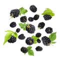 Fresh blackberries and green leaves in air on white background Royalty Free Stock Photo