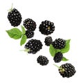 Fresh blackberries and green leaves in air on white background Royalty Free Stock Photo