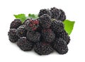 Fresh blackberries. Isolated on white background Royalty Free Stock Photo