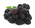 Fresh blackberries. Isolated on white background Royalty Free Stock Photo