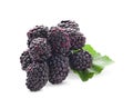 Fresh blackberries. Isolated on white background Royalty Free Stock Photo