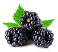 Fresh blackberries with leaves close-up isolated on a white. Royalty Free Stock Photo