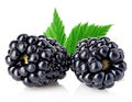 Fresh blackberries with leaves close-up isolated on a white. Royalty Free Stock Photo