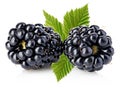 Fresh blackberries with leaves close-up isolated on a white. Royalty Free Stock Photo