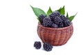 Fresh blackberries in a small basket Royalty Free Stock Photo