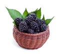 Fresh blackberries in small basket Royalty Free Stock Photo