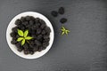 Fresh blackberries in a white bowl Royalty Free Stock Photo