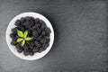 Fresh blackberries in a white bowl Royalty Free Stock Photo