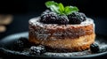 Fresh Blackberry Cake with Mint Garnish Royalty Free Stock Photo