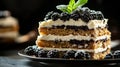 Fresh Blackberry Cake with Mint Garnish Royalty Free Stock Photo