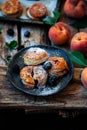 FRESH BLACKBERRY PEACH HAND PIES