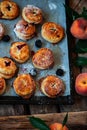 FRESH BLACKBERRY PEACH HAND PIES