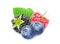 Fresh blackberry, raspberry, blueberry berries. Royalty Free Stock Photo