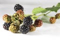 Fresh blackberry's with green leaf on white background Royalty Free Stock Photo