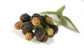 Fresh blackberry's with green leaf on white background Royalty Free Stock Photo