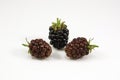 Fresh blackberry's on white background Royalty Free Stock Photo