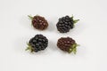 Fresh blackberry's on white background Royalty Free Stock Photo