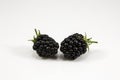 Fresh blackberry's on white background Royalty Free Stock Photo
