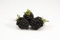 Fresh blackberry's on white background Royalty Free Stock Photo