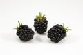Fresh blackberry's on white background Royalty Free Stock Photo