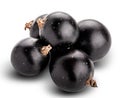 Fresh blackcurrant isolated on white background. Clipping path Royalty Free Stock Photo