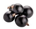 Fresh blackcurrant isolated on white background. Clipping path Royalty Free Stock Photo