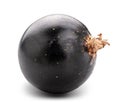 Fresh blackcurrant isolated on white background. Clipping path