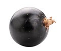 Fresh blackcurrant isolated on white background. Clipping path Royalty Free Stock Photo