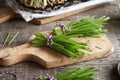 Fresh blades of young green barley grass on a table Royalty Free Stock Photo
