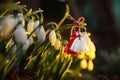 Fresh blooming snowdrops and traditional martisor outdoors. Spring flowers