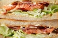 Fresh BLT Sandwich with Bacon Lettuce and Tomato Royalty Free Stock Photo