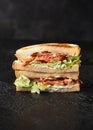 Fresh BLT Sandwich with Bacon Lettuce and Tomato Royalty Free Stock Photo