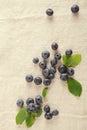 Fresh Blue Berries Off White Cloth