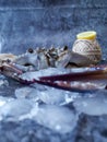 Fresh blue crab with ice Royalty Free Stock Photo