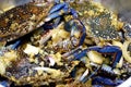 Fresh Blue Crabs in stainless Pot ready to be cooked on hot steam with spicy sauce and onions Royalty Free Stock Photo