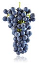 Fresh blue grape cluster isolated fruit