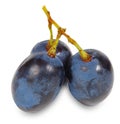 Fresh blue grape fruit Royalty Free Stock Photo