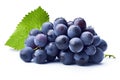 Fresh Blue Grapes Bunch Isolated on White Background, Close-up Shot. created with Generative AI Royalty Free Stock Photo