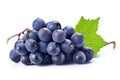 Fresh Blue Grapes Bunch Isolated on White Background, Close-up Shot. created with Generative AI Royalty Free Stock Photo