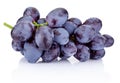 Fresh blue grapes isolated on white background Royalty Free Stock Photo