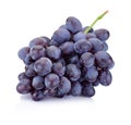 Fresh blue grapes isolated on white background Royalty Free Stock Photo