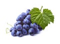 Fresh blue grapes isolated on white background Royalty Free Stock Photo