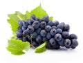 Fresh of blue grapes with leaves isolated on white background Royalty Free Stock Photo