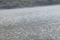 Fresh blue lake water,lake in steps.