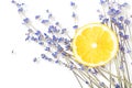 Fresh blue lavender with big lemon slice on white