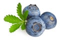 Fresh bluebarry Royalty Free Stock Photo